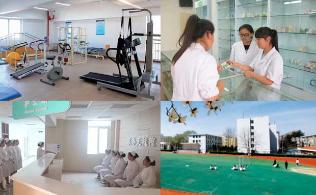 ���u�l(w��i)���W(xu��)У��(sh��)Ӗ(x��n)����h(hu��n)��