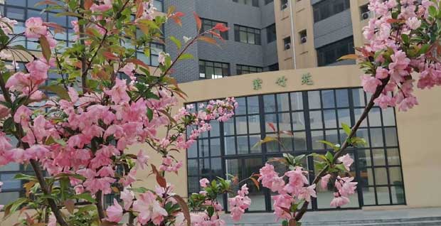 �����¿��I(y��)���ЌW(xu��)����Ԣ