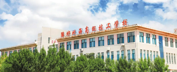 �H�������߼������W(xu��)У