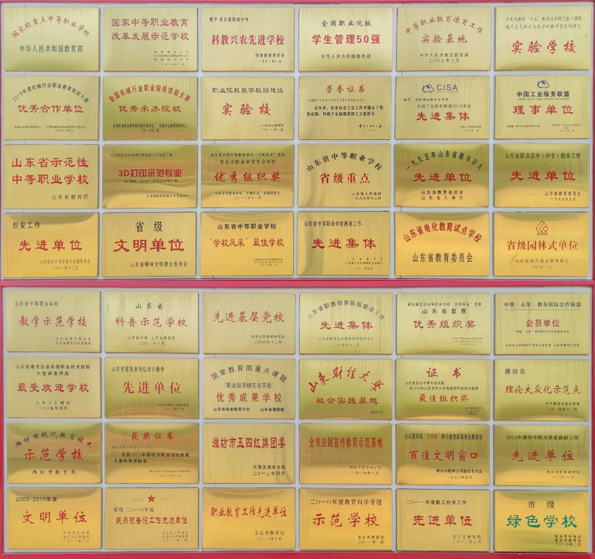 安丘職業(yè)中等專業(yè)學(xué)校榮譽(yù) 安丘職業(yè)中等專業(yè)學(xué)校榮譽(yù)