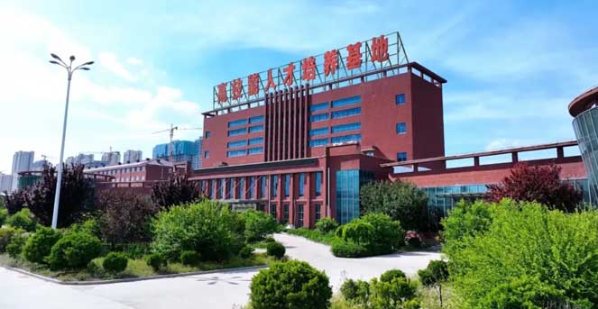 高技能人才基地 高技能人才基地