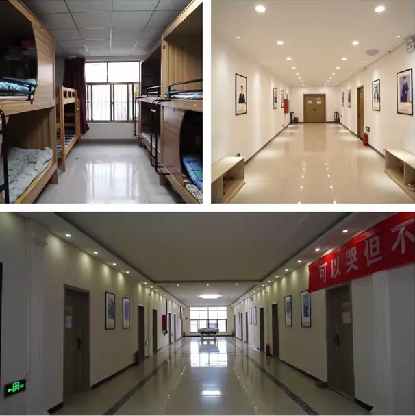 �P�Rϣ�Ļ��W(xu��)У����