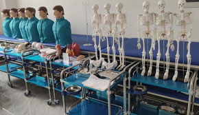 ���¼����W(xu��)У�o�팍Ӗ(x��n)��