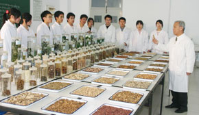 ������ˎ�n��