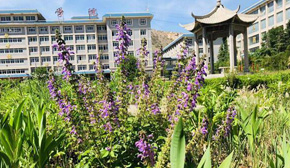 ɽ�|���������W(xu��)УУ�@