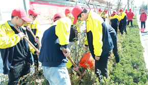 �e��ֲ�九(ji��)���(d��ng)