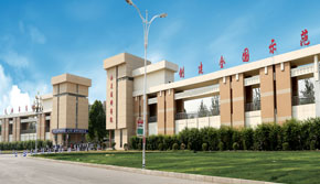 ɽ�|�����W(xu��)ԺУ�T