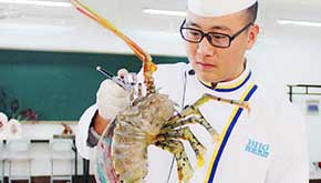 ɽ�|�{���I(y��)�W(xu��)У��Ӗ(x��n)��Ʒ